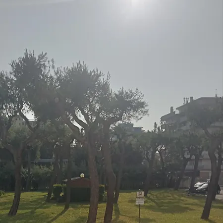 Il Fenicottero